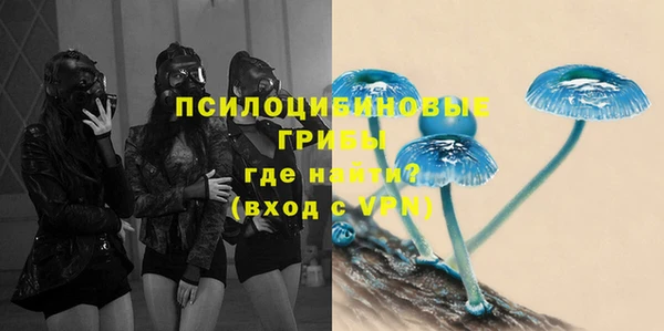 молекула духа Лагань